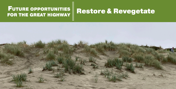 Dunes at Ocean Beach with the header "Future Opportunities for the Great Highway | Restore & Revegetate